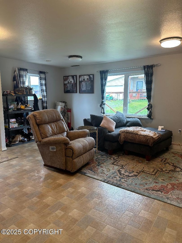 64900 Nikolaevsk Rd, Anchor Point, AK 99556 - photo 32
