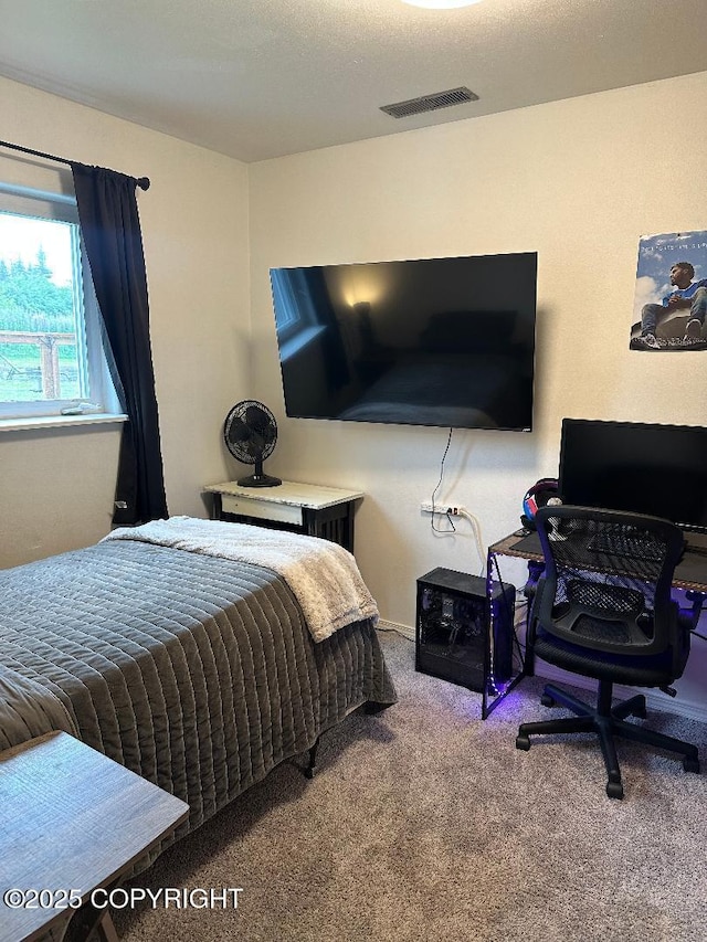 64900 Nikolaevsk Rd, Anchor Point, AK 99556 - photo 33