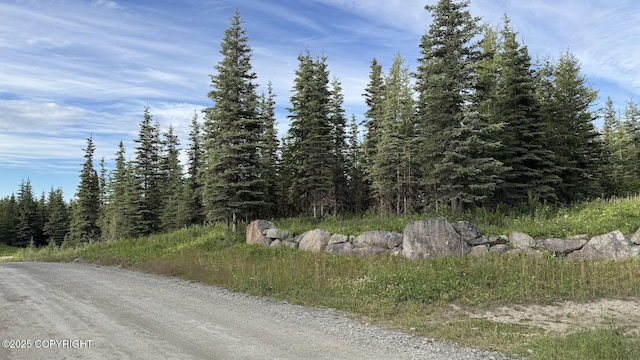 L1 Stone Hollow Dr, Soldotna, AK 99669 - photo 3