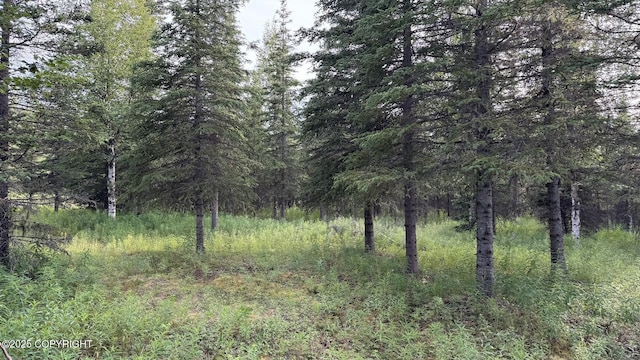 L1 Stone Hollow Dr, Soldotna, AK 99669 - photo 2