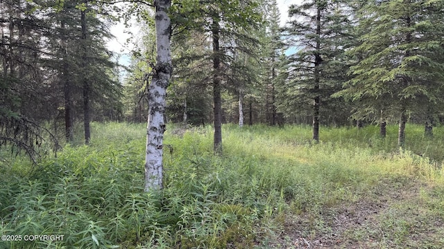 L1 Stone Hollow Dr, Soldotna, AK 99669 - photo 6