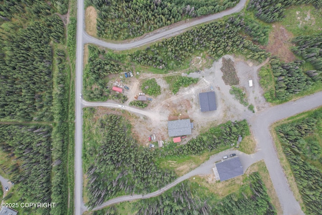 29373 E Canoe Ave, Sterling, AK 99672 - photo 77