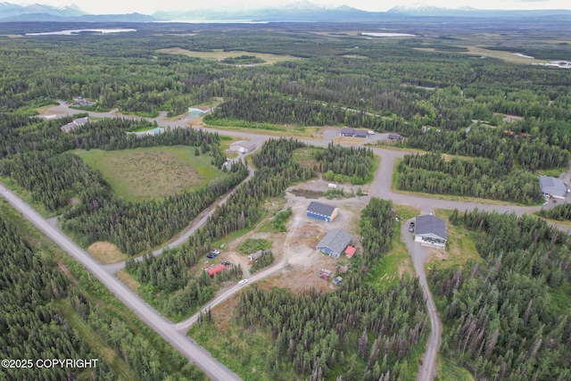 29373 E Canoe Ave, Sterling, AK 99672 - photo 75