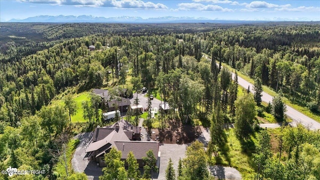 44228 Funny River Rd, Soldotna, AK 99669 - photo 87