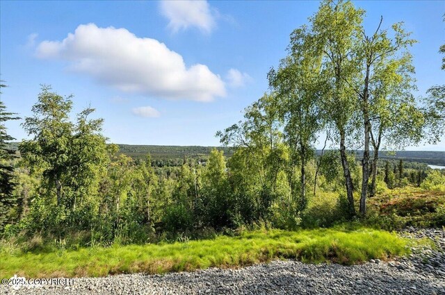44228 Funny River Rd, Soldotna, AK 99669 - photo 90