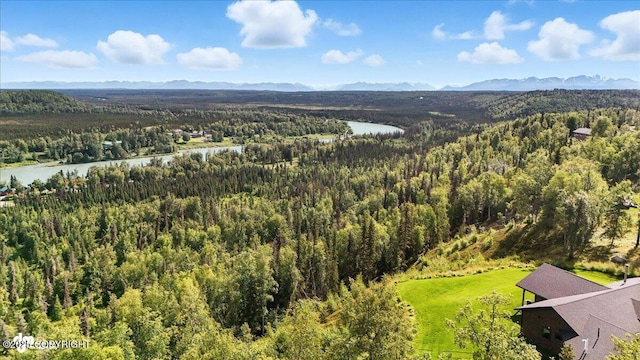 44228 Funny River Rd, Soldotna, AK 99669 - photo 92