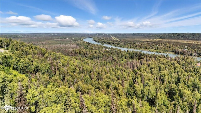 44228 Funny River Rd, Soldotna, AK 99669 - photo 95