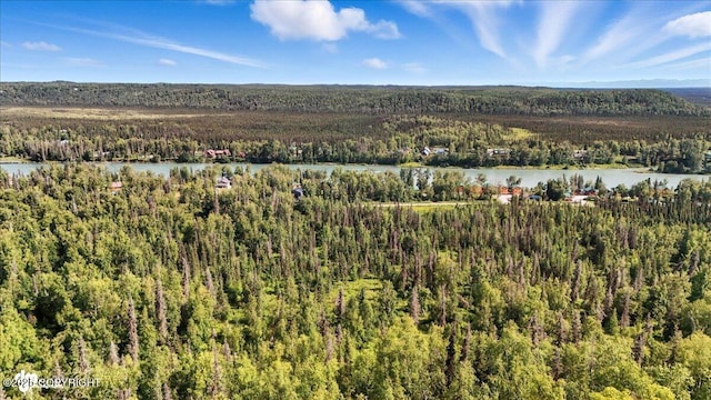 44228 Funny River Rd, Soldotna, AK 99669 - photo 96