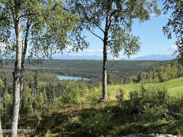 44228 Funny River Rd, Soldotna, AK 99669 - photo 4