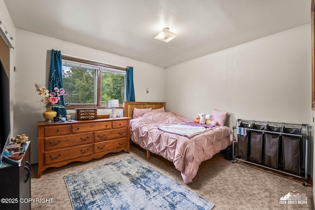 917 E 45th Ct, Anchorage, AK 99503 - photo 22