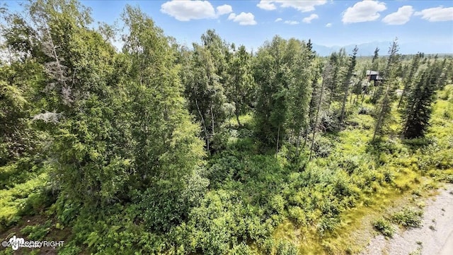 7390 E Narnia Cir, Palmer, AK 99645 - photo 2