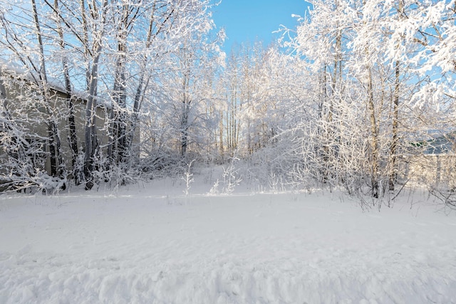 4240 Marik St, Anchorage, AK 99504 - photo 3