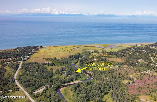 73790 Cuffel Ditton Rd, Anchor Point, AK 99556 - photo 1