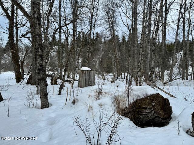 73790 Cuffel Ditton Rd, Anchor Point, AK 99556 - photo 6