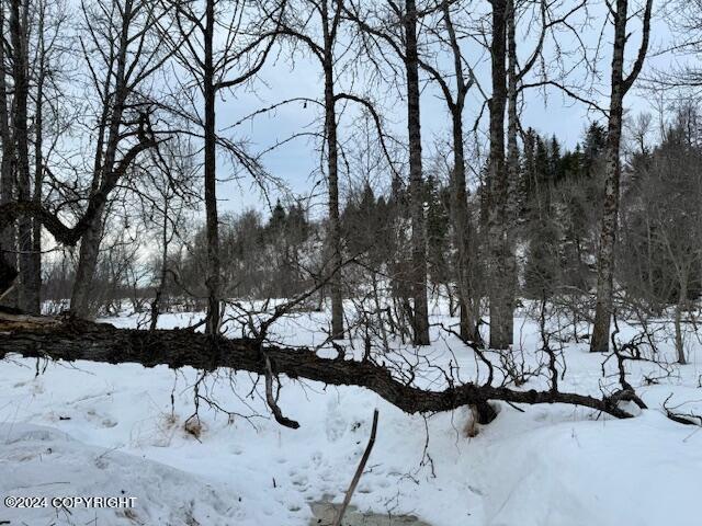 73790 Cuffel Ditton Rd, Anchor Point, AK 99556 - photo 7