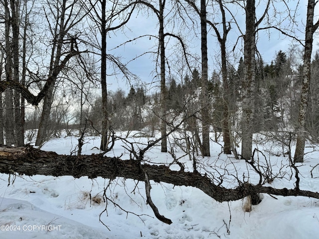 73790 Cuffel Ditton Rd, Anchor Point, AK 99556 - photo 10