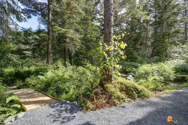 515 Vail Dr, Girdwood, AK 99587 - photo 64