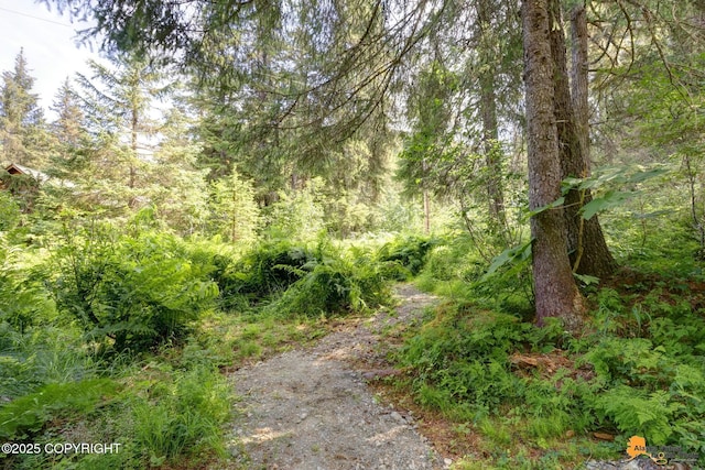 515 Vail Dr, Girdwood, AK 99587 - photo 66