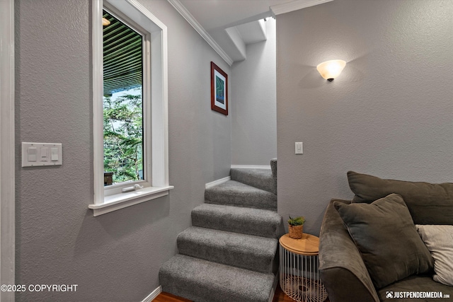 122 Echo Ridge Dr, Girdwood, AK 99587 - photo 25