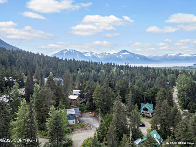 122 Echo Ridge Dr, Girdwood, AK 99587 - photo 65