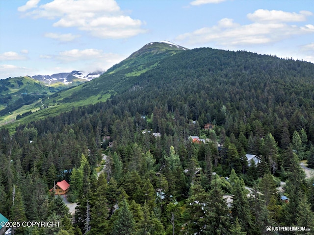 122 Echo Ridge Dr, Girdwood, AK 99587 - photo 66