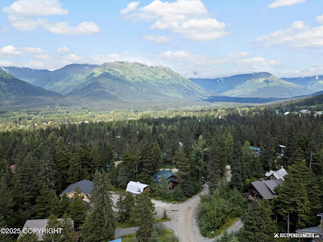 122 Echo Ridge Dr, Girdwood, AK 99587 - photo 68