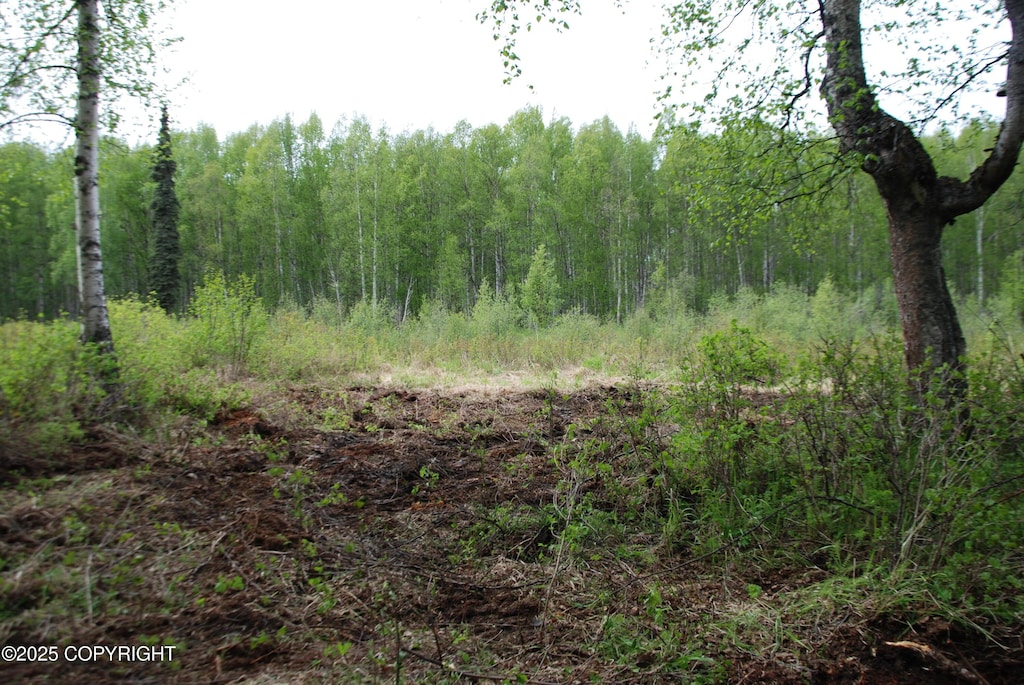 49198 S Hunter Dr, Willow, AK 99688 - photo 2