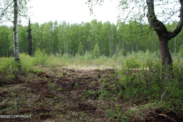 49198 S Hunter Dr, Willow, AK 99688 - photo 2