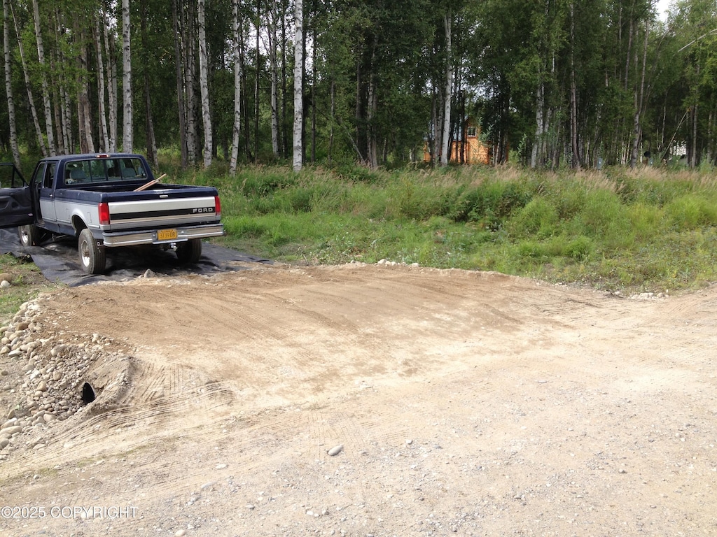 49198 S Hunter Dr, Willow, AK 99688 - photo 4