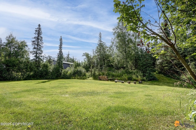 5901 Downey Finch Dr, Anchorage, AK 99516 - photo 97