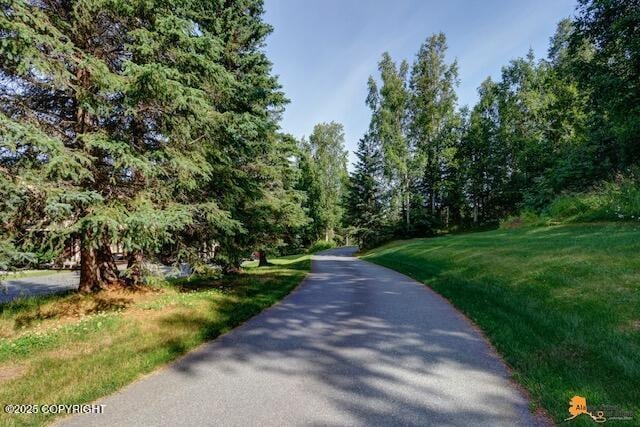 5901 Downey Finch Dr, Anchorage, AK 99516 - photo 82
