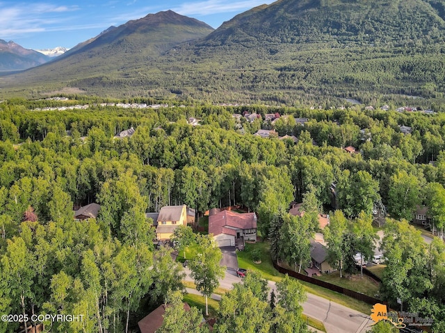 19624 S Montague Loop, Eagle River, AK 99577 - photo 59