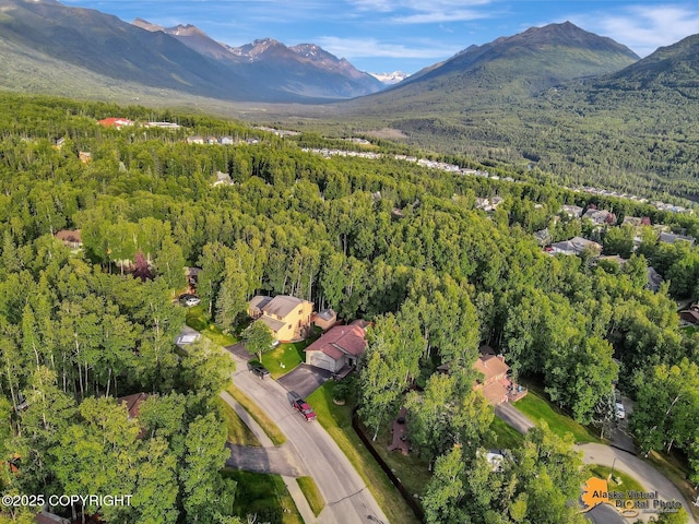 19624 S Montague Loop, Eagle River, AK 99577 - photo 60