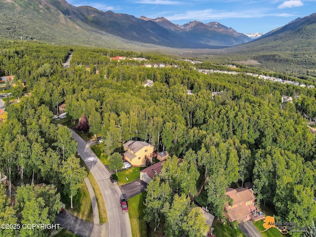 19624 S Montague Loop, Eagle River, AK 99577 - photo 61