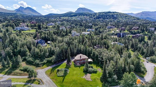 8022 Frostline Ct, Anchorage, AK 99507 - photo 75