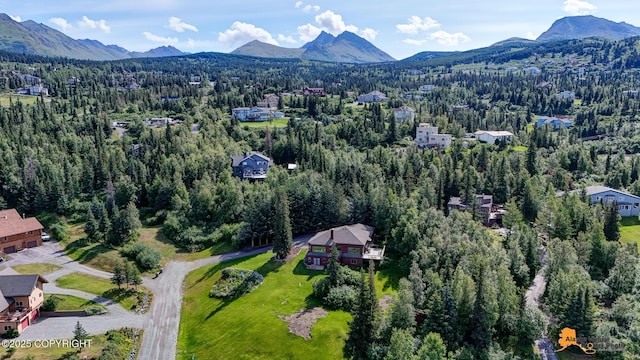 8022 Frostline Ct, Anchorage, AK 99507 - photo 76