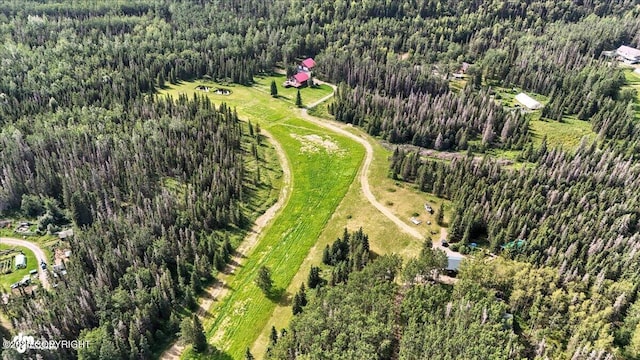 39174 Valley View Rd, Sterling, AK 99672 - photo 71