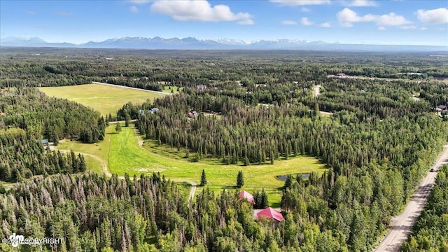 39174 Valley View Rd, Sterling, AK 99672 - photo 78