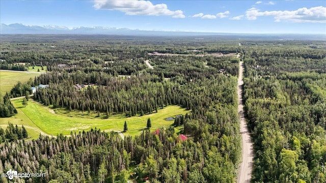 39174 Valley View Rd, Sterling, AK 99672 - photo 79