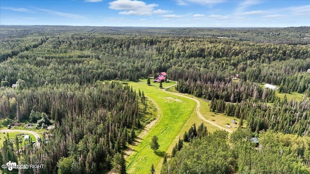 39174 Valley View Rd, Sterling, AK 99672 - photo 80