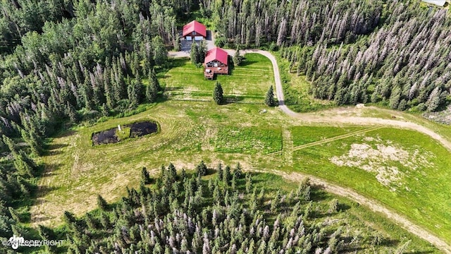 39174 Valley View Rd, Sterling, AK 99672 - photo 81