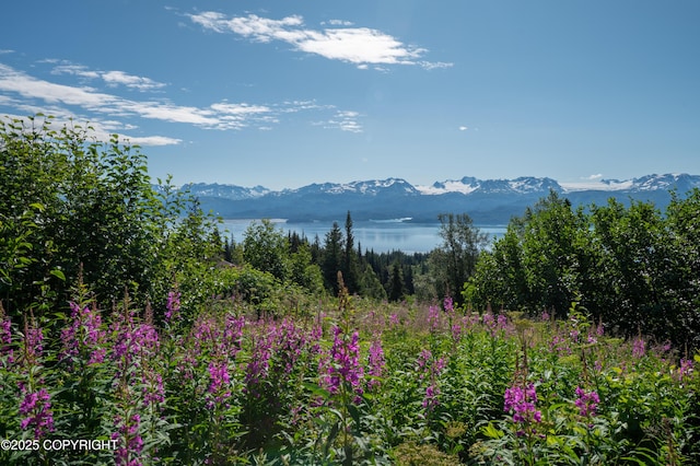 51049 Hubbard Ln, Homer, AK 99603 - photo 6