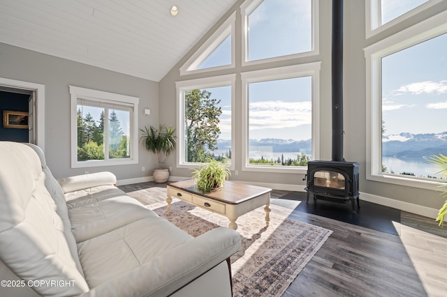 51049 Hubbard Ln, Homer, AK 99603 - photo 12