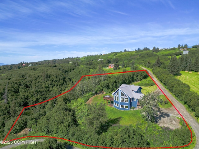 51049 Hubbard Ln, Homer, AK 99603 - photo 4
