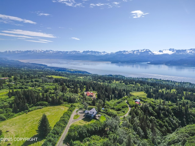 51049 Hubbard Ln, Homer, AK 99603 - photo 60