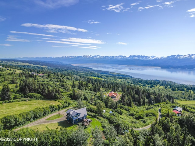 51049 Hubbard Ln, Homer, AK 99603 - photo 61