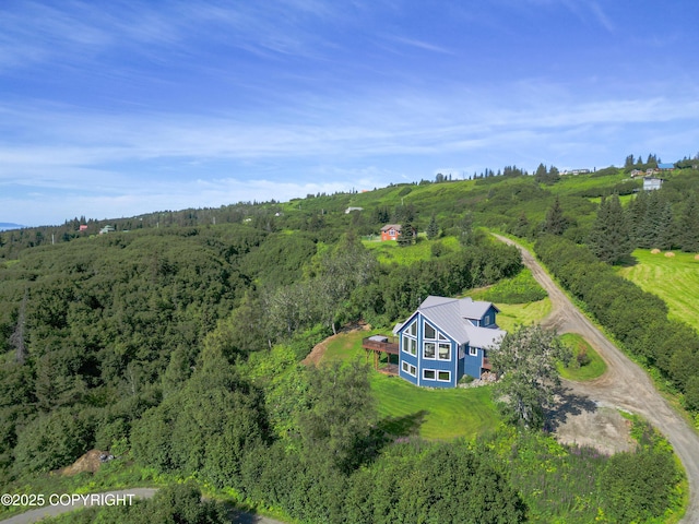 51049 Hubbard Ln, Homer, AK 99603 - photo 62