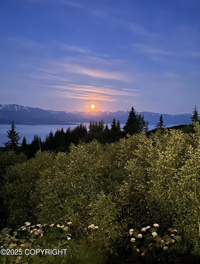 51049 Hubbard Ln, Homer, AK 99603 - photo 53