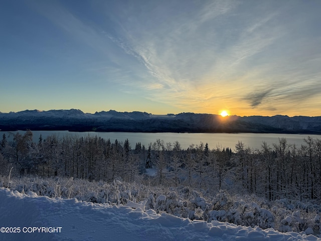 51049 Hubbard Ln, Homer, AK 99603 - photo 69