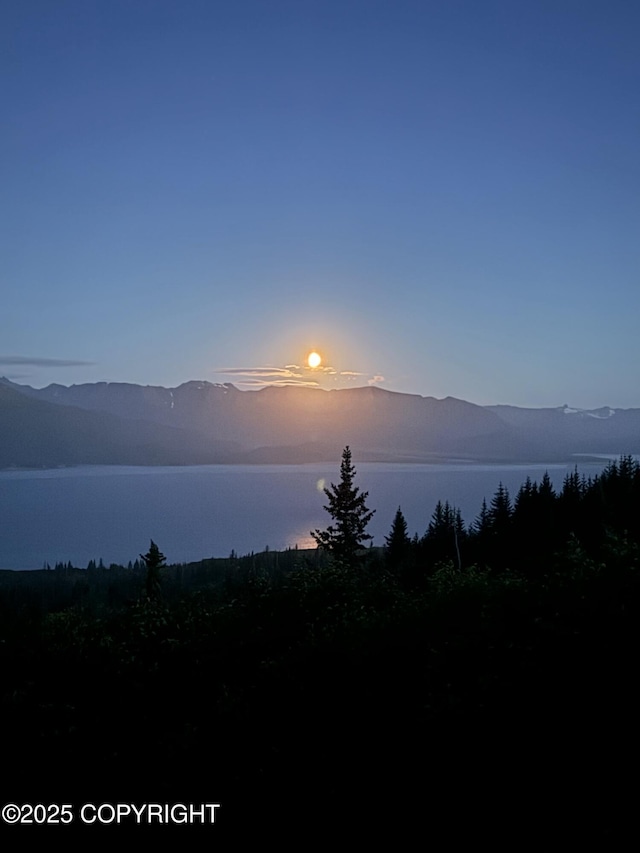 51049 Hubbard Ln, Homer, AK 99603 - photo 71